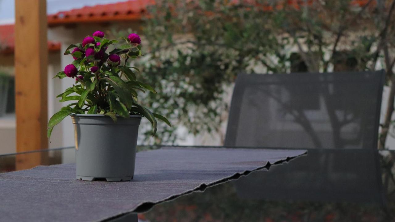 Spitakia-Cozy & Comfy Apartments 10Minutes From The Airport أرتيميدا المظهر الخارجي الصورة