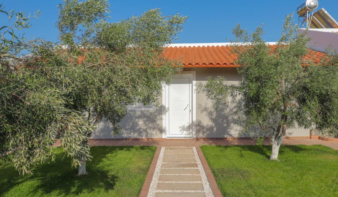 Spitakia-Cozy & Comfy Apartments 10Minutes From The Airport أرتيميدا المظهر الخارجي الصورة